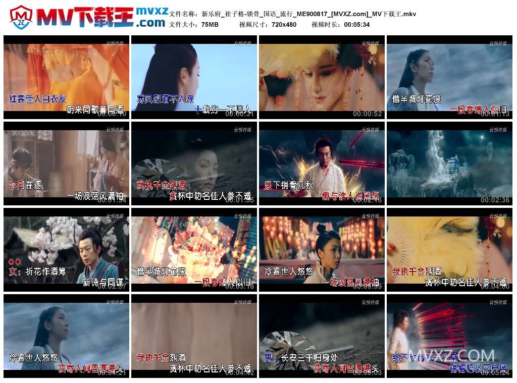 新乐府_崔子格-锁骨_国语_流行_ME900817